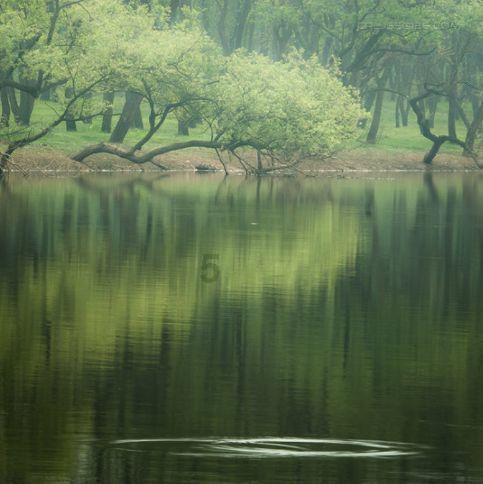 探索吉鹿力问答社区,解决疑问尽在从新沟镇到彭场镇坐什么车去?